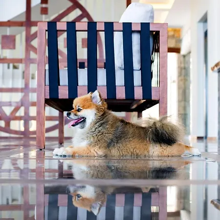 Otel Aliv Stone & Ayos Nikolaos