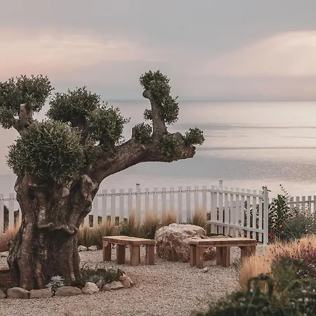 Aliv Stone & Ayos Nikolaos