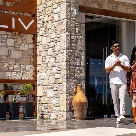 فندق Aliv Stone &