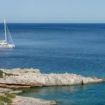 Aliv Stone &